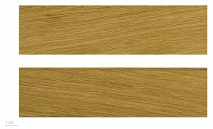 1200px-Quercus_robur_MHNT.BOT.2010.6.75